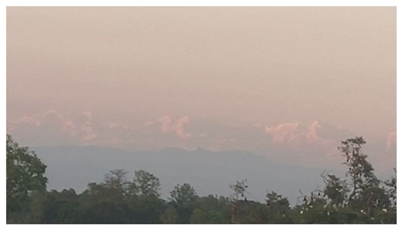 করোনার সৌজন্যে ফের ঘটে গেল মিরাকল, এবার বিহারের গ্রাম থেকেই দেখা মিলল এভারেস্টের করোনার সৌজন্যে ফের ঘটে গেল মিরাকল, এবার বিহারের গ্রাম থেকেই দেখা মিলল এভারেস্টের