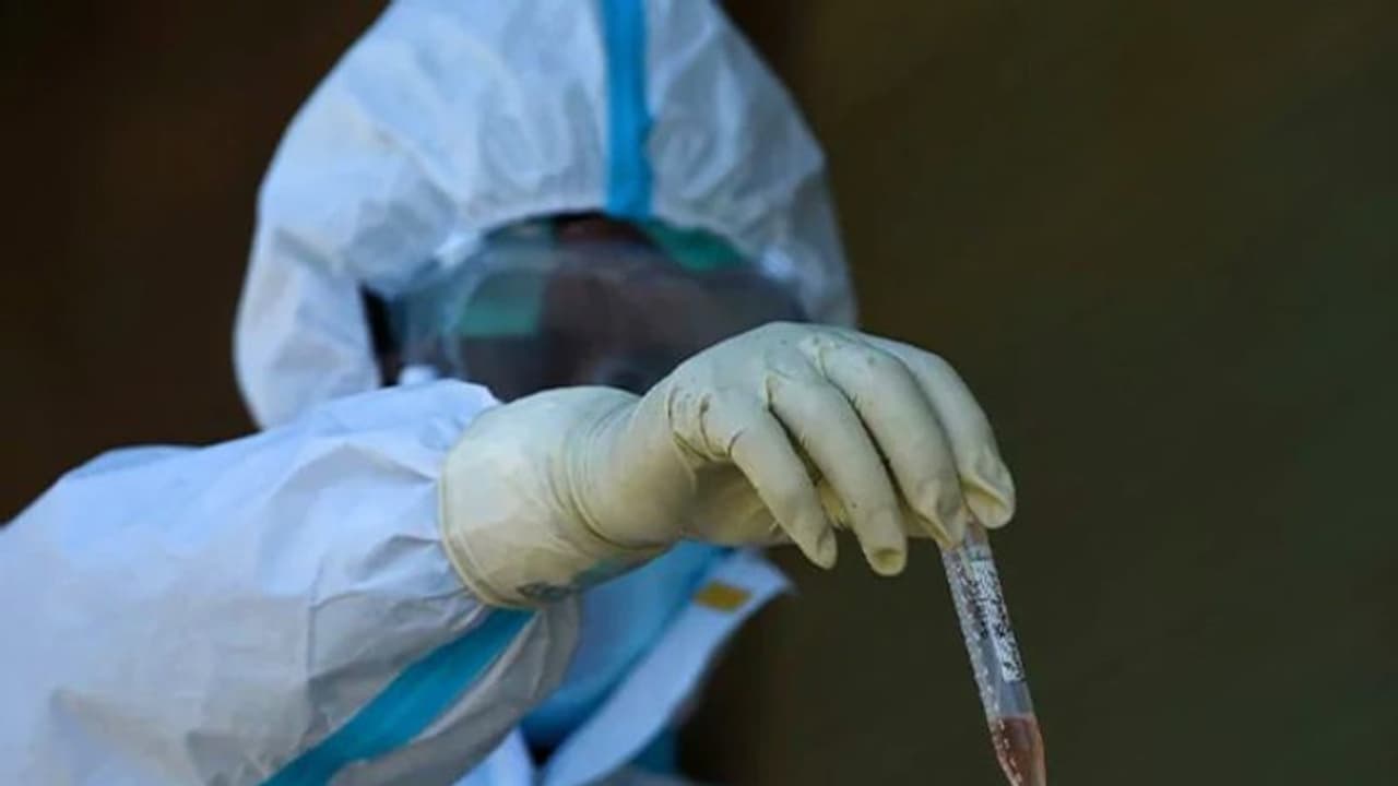 സൗദി അറേബ്യയിൽ 2788 ഇന്ത്യാക്കാർക്ക് കൊവിഡ്; വൈറസ് ബാധമൂലം മരിച്ച 21 പേരില് 6 മലയാളികള് സൗദി അറേബ്യയിൽ 2788 ഇന്ത്യാക്കാർക്ക് കൊവിഡ്; വൈറസ് ബാധമൂലം മരിച്ച 21 പേരില് 6 മലയാളികള്