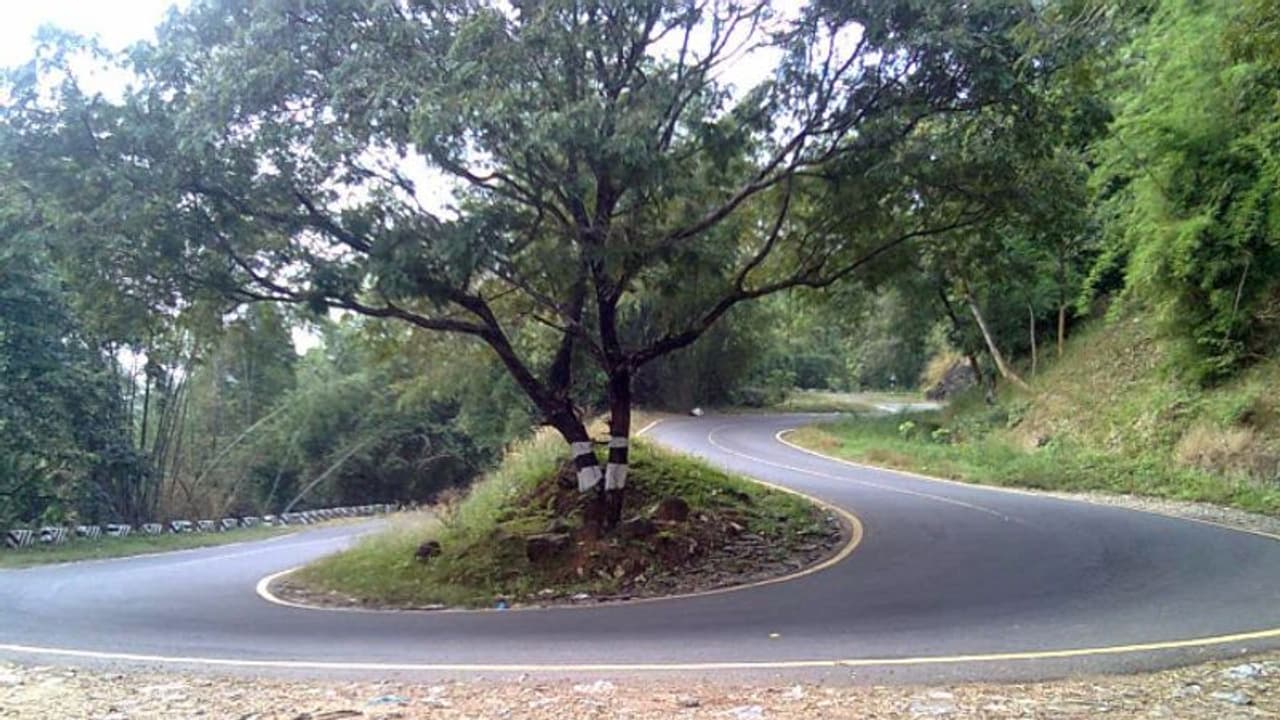 നാടുകാണി ചുരം വഴി കേരളത്തിലേക്ക് പ്രവേശനം അനുവദിക്കണമെന്ന് ആവശ്യം ശക്തമാകുന്നു നാടുകാണി ചുരം വഴി കേരളത്തിലേക്ക് പ്രവേശനം അനുവദിക്കണമെന്ന് ആവശ്യം ശക്തമാകുന്നു
