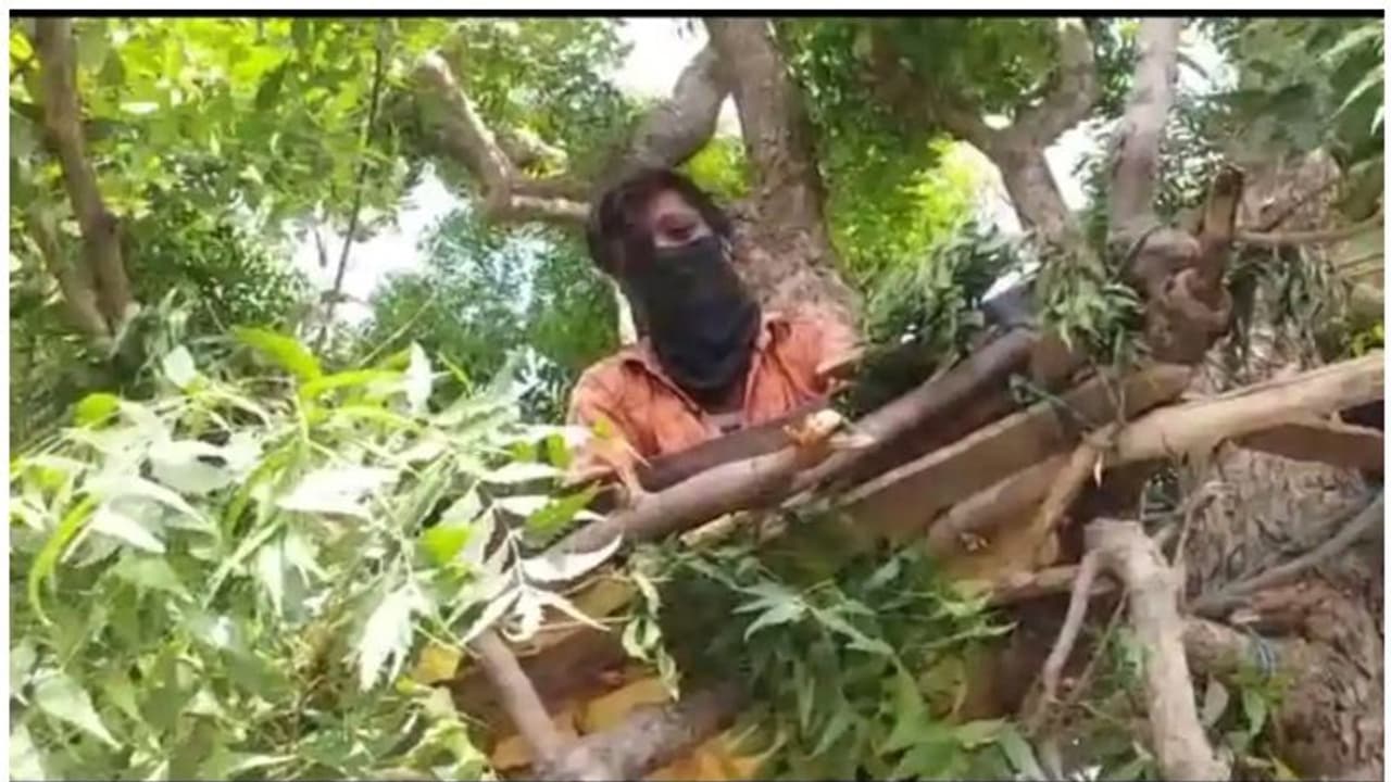 വീട്ടിൽ സ്ഥലമില്ല; വേപ്പ് മരത്തിന് മുകളിൽ ക്വാറന്റൈനിൽ കഴിഞ്ഞ് യുവാവ്; മാതൃകയെന്ന് നാട്ടുകാർ വീട്ടിൽ സ്ഥലമില്ല; വേപ്പ് മരത്തിന് മുകളിൽ ക്വാറന്റൈനിൽ കഴിഞ്ഞ് യുവാവ്; മാതൃകയെന്ന് നാട്ടുകാർ