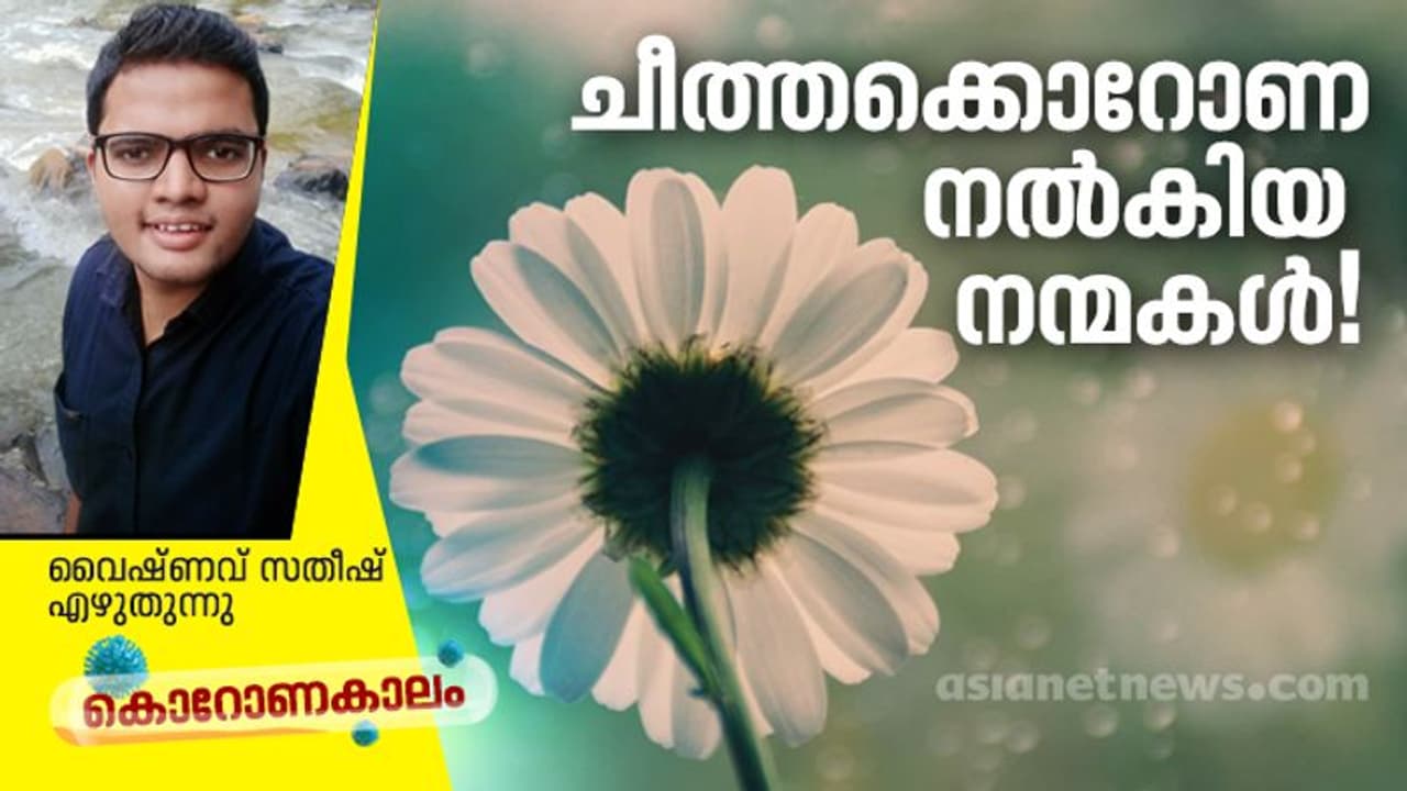 ചീത്തക്കൊറോണ നല്‍കിയ നന്‍മകള്‍!