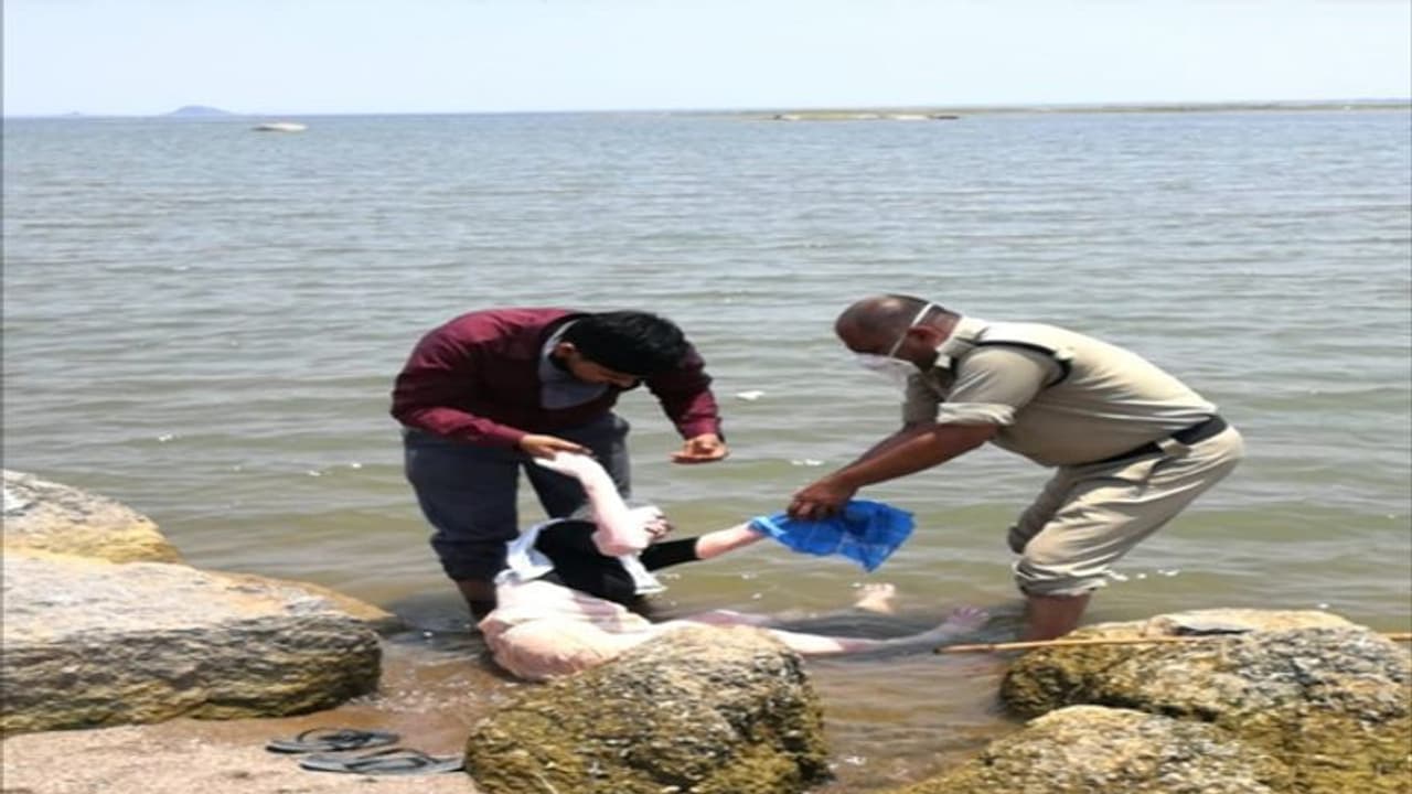 తండ్రి ఉద్యోగం,పెన్షన్ మాత్రమే, తల్లి వద్దట... కొడుకు తీరుతో వృద్దురాలి ఆత్మహత్యాయత్నం