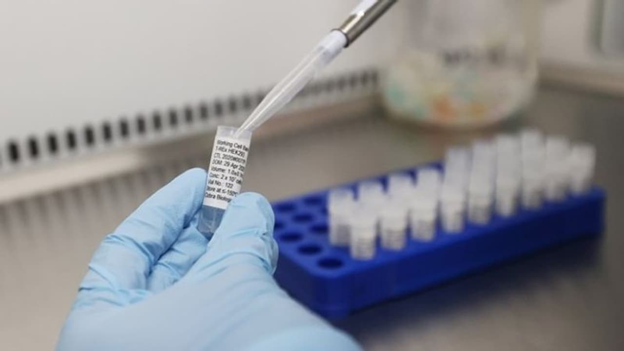 'കൊവിഡിനെതിരെ വാക്സിന് വന്നേക്കില്ല'; നിര്ണ്ണായക വിവരങ്ങള് പങ്കിട്ട് ലോകാരോഗ്യ സംഘടന പ്രതിനിധി 'കൊവിഡിനെതിരെ വാക്സിന് വന്നേക്കില്ല'; നിര്ണ്ണായക വിവരങ്ങള് പങ്കിട്ട് ലോകാരോഗ്യ സംഘടന പ്രതിനിധി