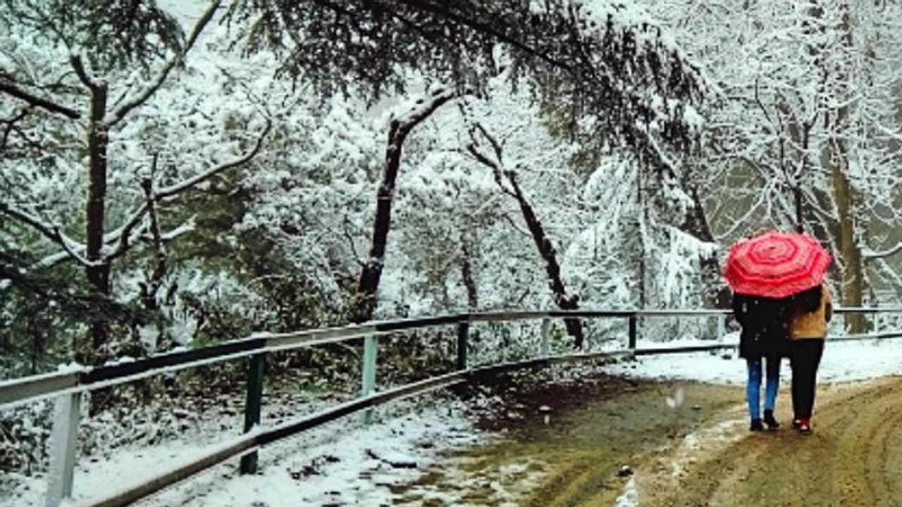 লকডাউনের মধ্যে ট্রাকে লুকিয়ে সিমলা, শেষরক্ষা হল না রুশ প্রেমিকা ও ভারতীয় প্রেমিকের লকডাউনের মধ্যে ট্রাকে লুকিয়ে সিমলা, শেষরক্ষা হল না রুশ প্রেমিকা ও ভারতীয় প্রেমিকের