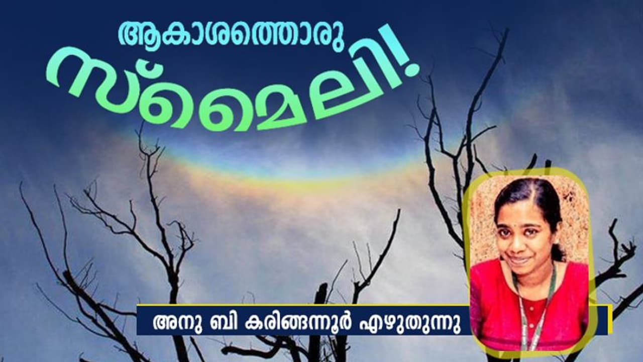 കണ്ടിട്ടുണ്ടോ, തല തിരിഞ്ഞ മഴവില്ല്?