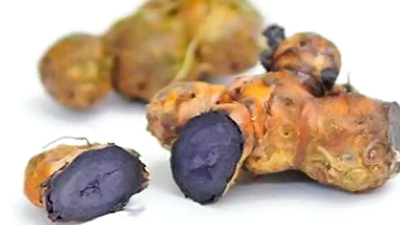 Astro tips: உங்கள் வீட்டில் நேர்மறை ஆற்றல் கிடைக்க கருப்பு மஞ்சள் கொண்டு இந்த பரிகாரம் செய்யுங்கள்! Astro tips: உங்கள் வீட்டில் நேர்மறை ஆற்றல் கிடைக்க கருப்பு மஞ்சள் கொண்டு இந்த பரிகாரம் செய்யுங்கள்!