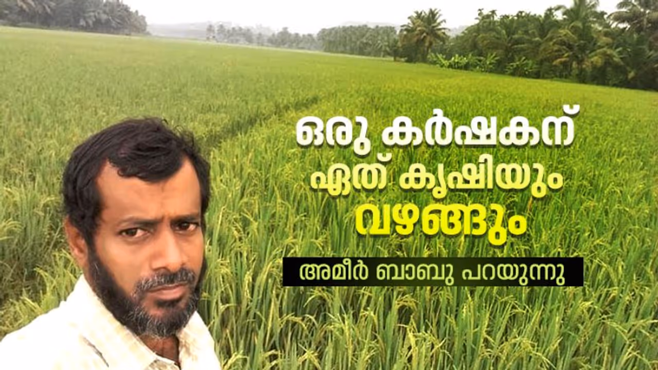 ലോക്ക്ഡൗണില് വില കുറച്ച് വില്ക്കേണ്ടി വരുന്നുണ്ട്, എന്നാലും കൃഷി കൃഷിയല്ലേ... ലോക്ക്ഡൗണില് വില കുറച്ച് വില്ക്കേണ്ടി വരുന്നുണ്ട്, എന്നാലും കൃഷി കൃഷിയല്ലേ...