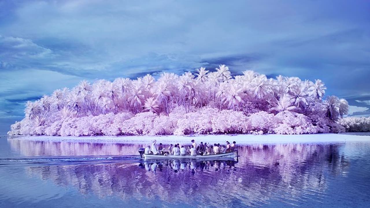 ഈ ദ്വീപിലുള്ളവര്ക്ക് എല്ലാ നിറങ്ങളും കാണാനാവില്ല! ഈ ദ്വീപിലുള്ളവര്ക്ക് എല്ലാ നിറങ്ങളും കാണാനാവില്ല!