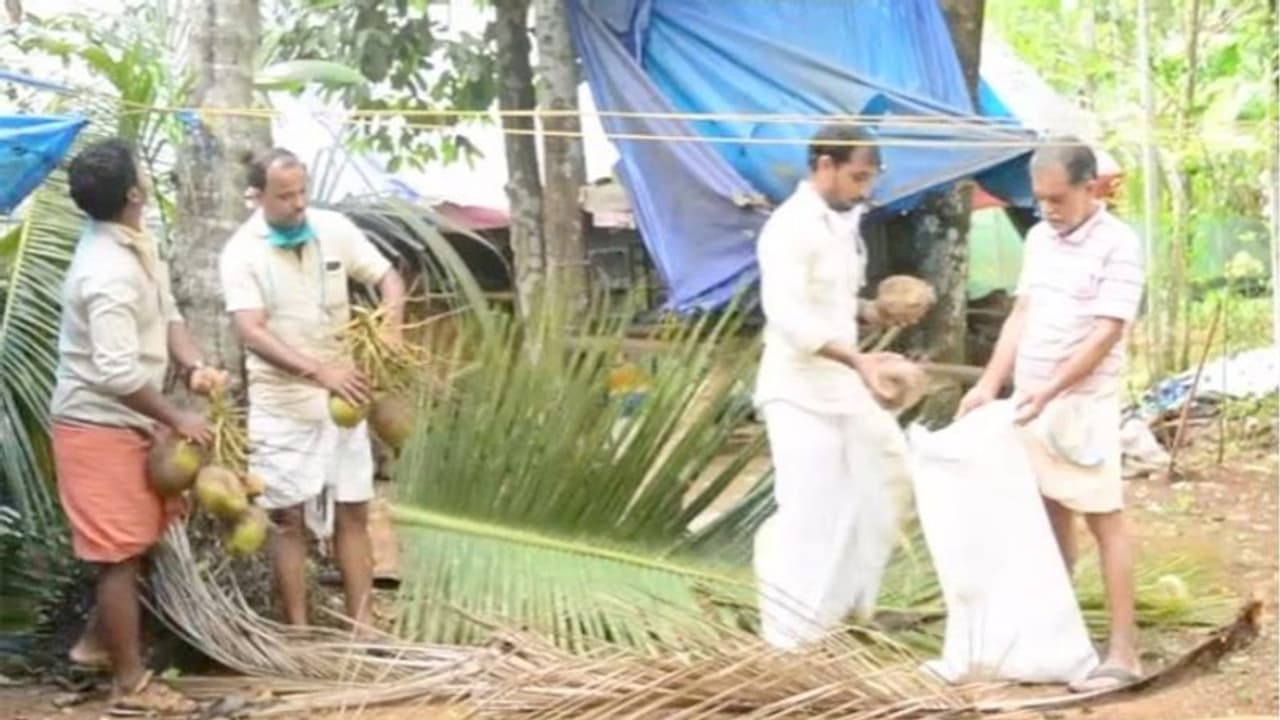 ദുരിതാശ്വാസ നിധിയിലേക്ക് പണം കണ്ടെത്താനായി ഡിവൈഎഫ്ഐയുടെ തേങ്ങാപ്പിരിവ്