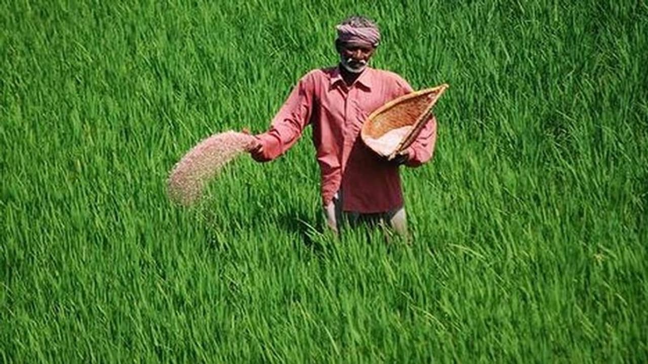 ആനുകൂല്യങ്ങൾ ഭൂവുടമകൾക്ക്, സഹായം യഥാര്ത്ഥ കര്ഷകരിലേക്ക് എത്തുന്നില്ല; പദ്ധതികൾ പാഴാകുന്നത് ഇങ്ങനെയോ? ആനുകൂല്യങ്ങൾ ഭൂവുടമകൾക്ക്, സഹായം യഥാര്ത്ഥ കര്ഷകരിലേക്ക് എത്തുന്നില്ല; പദ്ധതികൾ പാഴാകുന്നത് ഇങ്ങനെയോ?