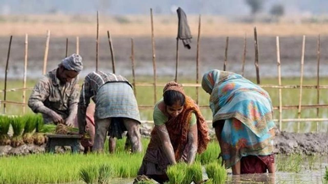 വിത്തിടുമ്പോൾ വില; കേന്ദ്ര നയം കോര്‍പറേറ്റുകൾക്ക് അനുകൂലമെന്ന് കര്‍ഷക സംഘടനകൾ