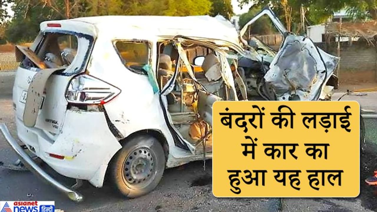 स्पीड से जा रही थी कार, अचानक दो बंदर लड़ते हुए कार पर कूद पड़े, रेलिंग का सरिया हुआ कार के आरपार