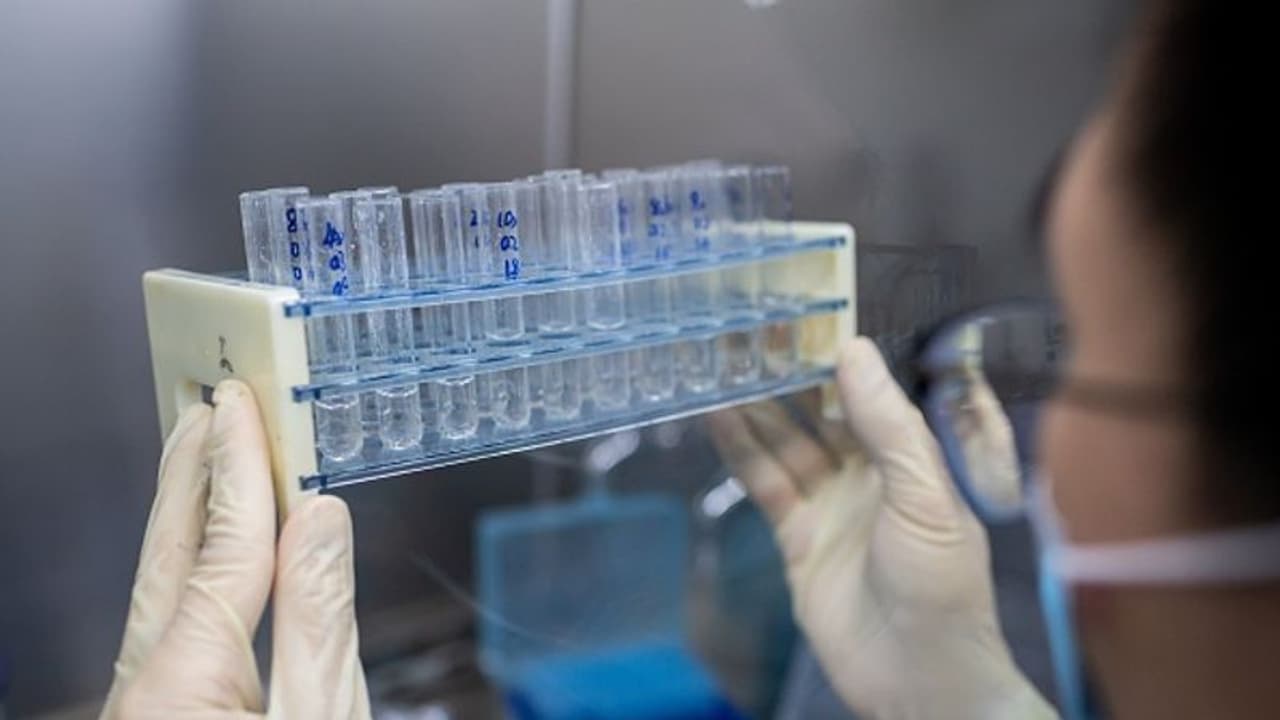 ഐസിഎംആര്‍ സംഘം പാലക്കാട്; സമൂഹ വ്യാപനം ഉണ്ടോയെന്ന് കണ്ടെത്തുക ലക്ഷ്യം