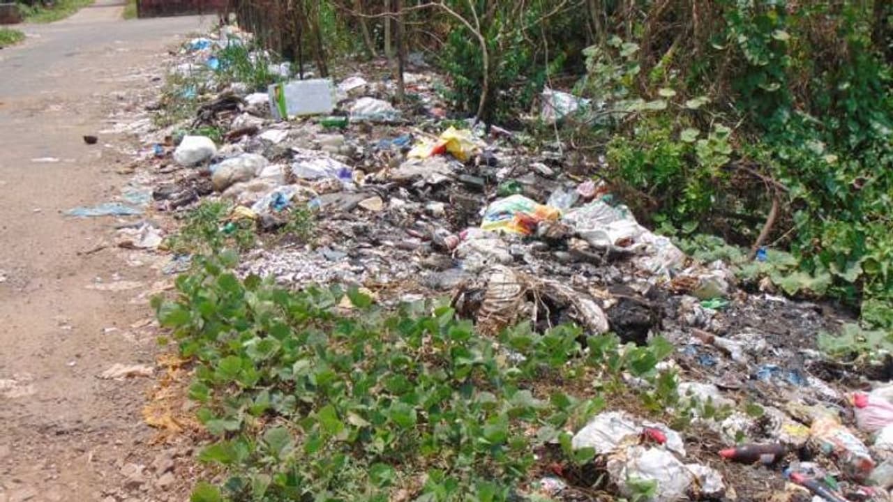 മഴക്കാല ശുചീകരണം എങ്ങുമെത്തിയില്ല, മാന്നാറിലെ റോഡരികുകളിൽ മാലിന്യങ്ങൾ കുന്നുകൂടി