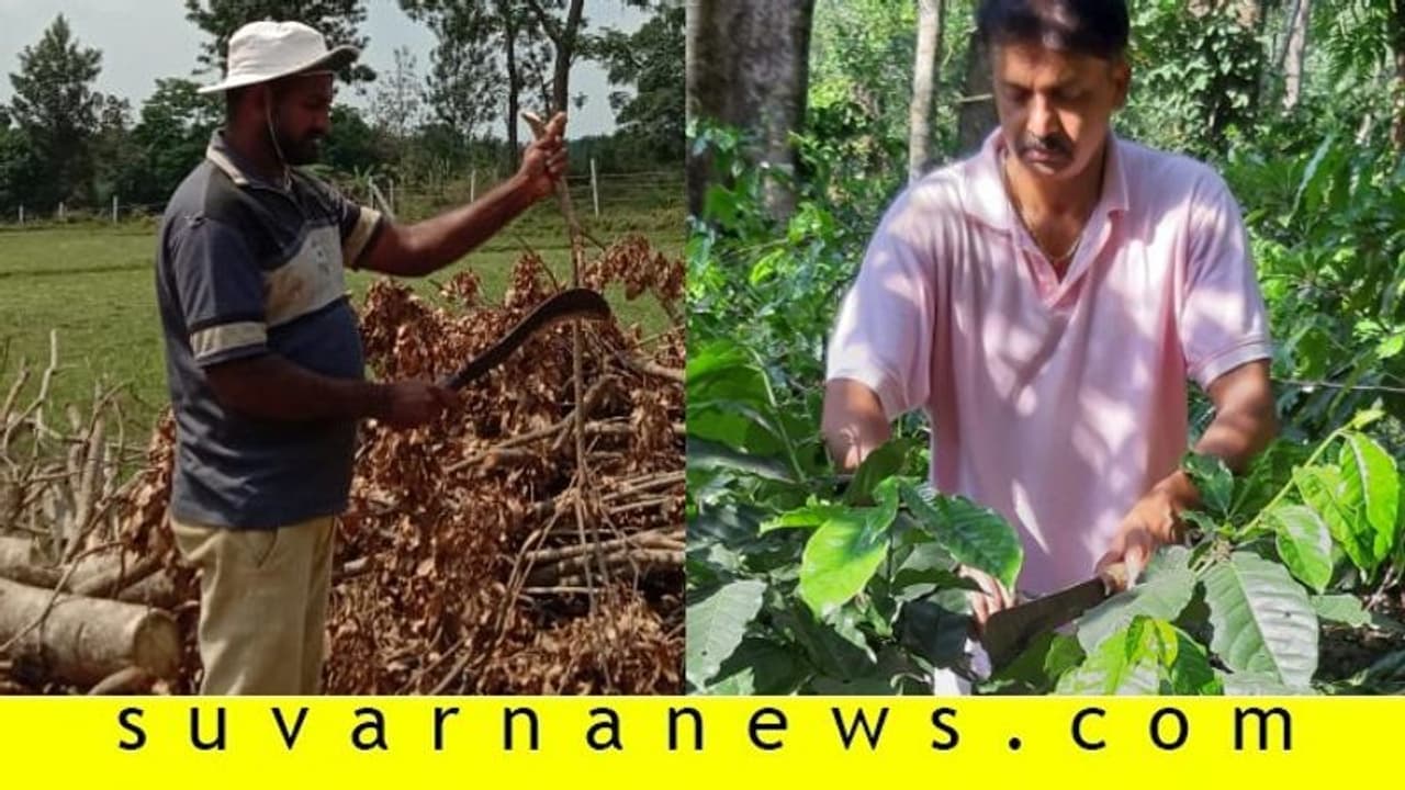 ಪಾಠ ಮಾಡಬೇಕಿದ್ದ ಅತಿಥಿ ಉಪನ್ಯಾಸಕರು ಈಗ ತೋಟ ಕೆಲಸದಲ್ಲಿ! ಪಾಠ ಮಾಡಬೇಕಿದ್ದ ಅತಿಥಿ ಉಪನ್ಯಾಸಕರು ಈಗ ತೋಟ ಕೆಲಸದಲ್ಲಿ!