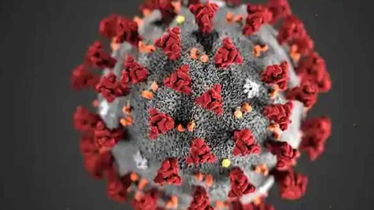 జగిత్యాలలో వృద్దుడికి కరోనా: అప్రమత్తమైన అధికారులు జగిత్యాలలో వృద్దుడికి కరోనా: అప్రమత్తమైన అధికారులు