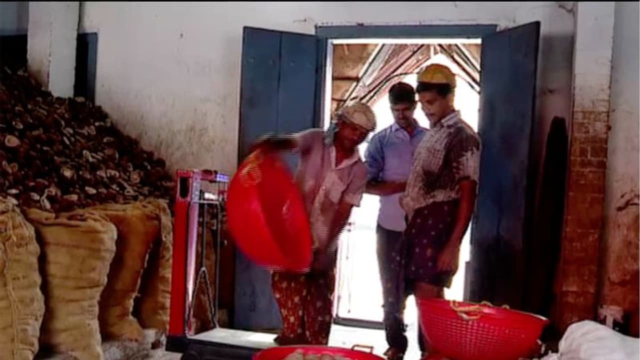 റബറിനും തേങ്ങയ്ക്കും അടക്കം വിലയിടിഞ്ഞു; പ്രതിസന്ധിയിലായി കര്‍ഷകര്‍, സര്‍ക്കാര്‍ ഇടപെടണമെന്ന് ആവശ്യം