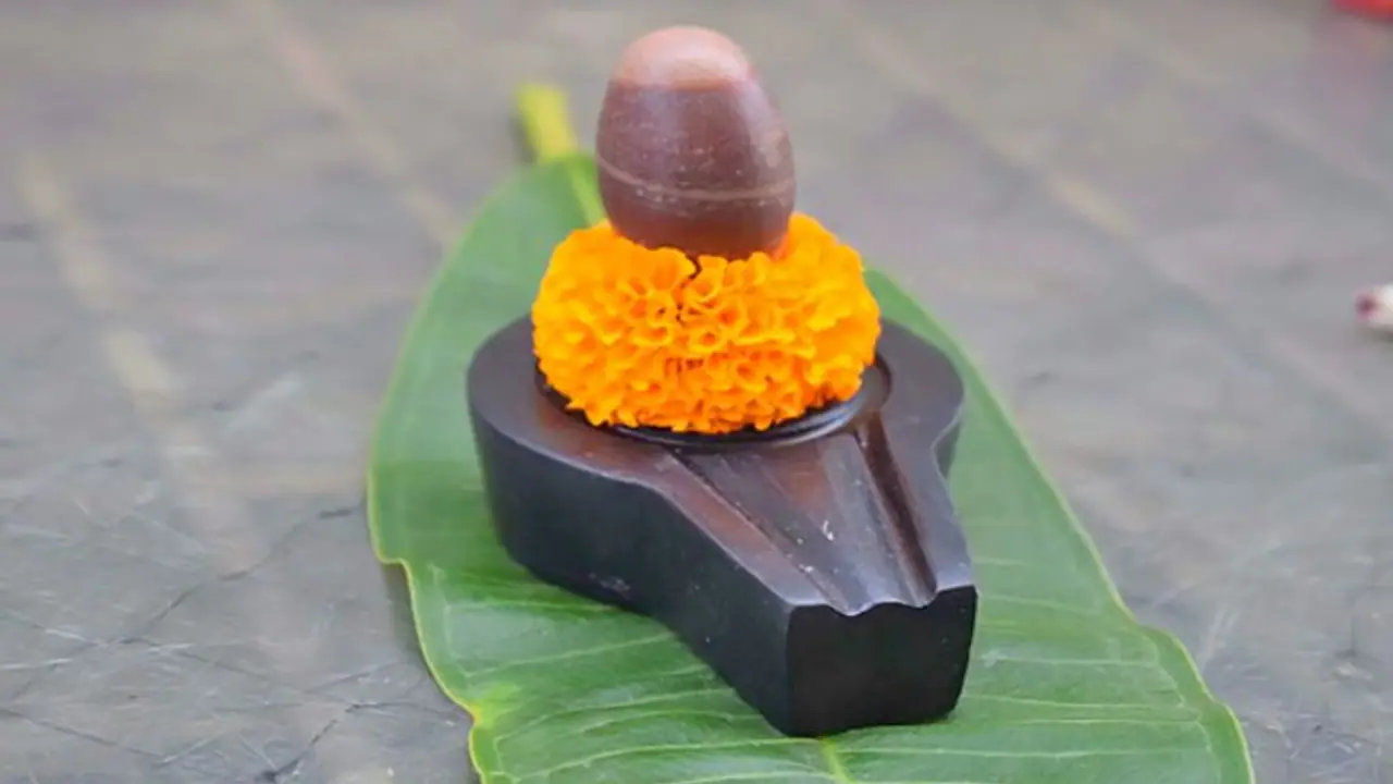 ভুলেও মেঝেতে এই পাঁচটি জিনিস রাখবেন না, একাধিক ক্ষতির কারণ হতে পারে এই ভুল ভুলেও মেঝেতে এই পাঁচটি জিনিস রাখবেন না, একাধিক ক্ষতির কারণ হতে পারে এই ভুল