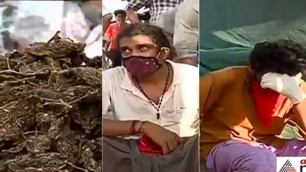 തണ്ണിമത്തൻ ലോറിയിൽ കഞ്ചാവ് കടത്തിയ രണ്ടുപേർ തൃശൂരിൽ പിടിയിൽ