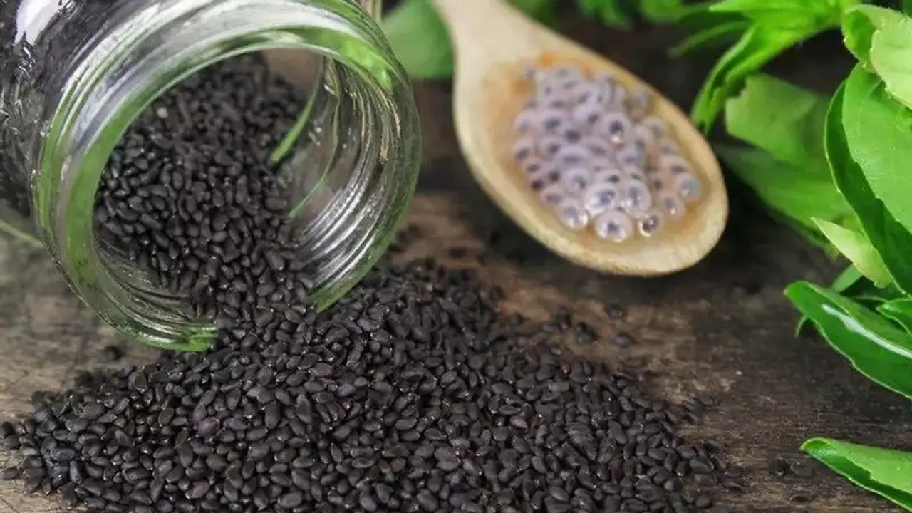 sabja seeds sabja seeds