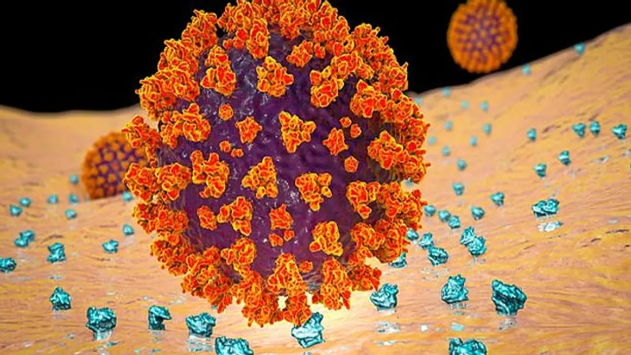 Fact Check: Is religion based mapping of COVID 19 patients being planned in India?