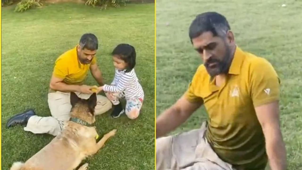 ധോണിയെ അനുസരിക്കാത്ത വളര്ത്തുനായ സാക്ഷിയെ അനുസരിക്കും; രസകരമായ വീഡിയോ പങ്കുവച്ച് ചെന്നൈ സൂപ്പര് കിംഗ്സ് ധോണിയെ അനുസരിക്കാത്ത വളര്ത്തുനായ സാക്ഷിയെ അനുസരിക്കും; രസകരമായ വീഡിയോ പങ്കുവച്ച് ചെന്നൈ സൂപ്പര് കിംഗ്സ്