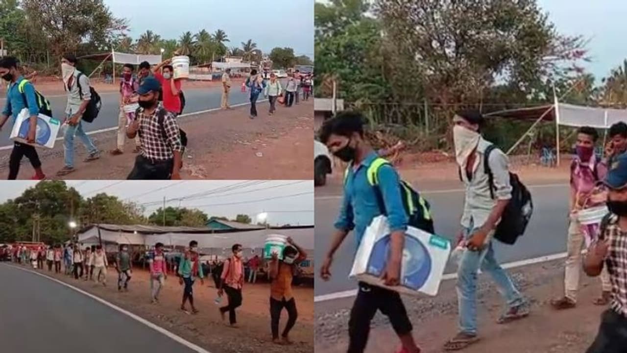 കേരളത്തിലും കൂട്ടപ്പലായനം: കിലോമീറ്ററുകൾ നടന്നെത്തിയ അതിഥി തൊഴിലാളികളെ അതിർത്തിയിൽ തടഞ്ഞു കേരളത്തിലും കൂട്ടപ്പലായനം: കിലോമീറ്ററുകൾ നടന്നെത്തിയ അതിഥി തൊഴിലാളികളെ അതിർത്തിയിൽ തടഞ്ഞു