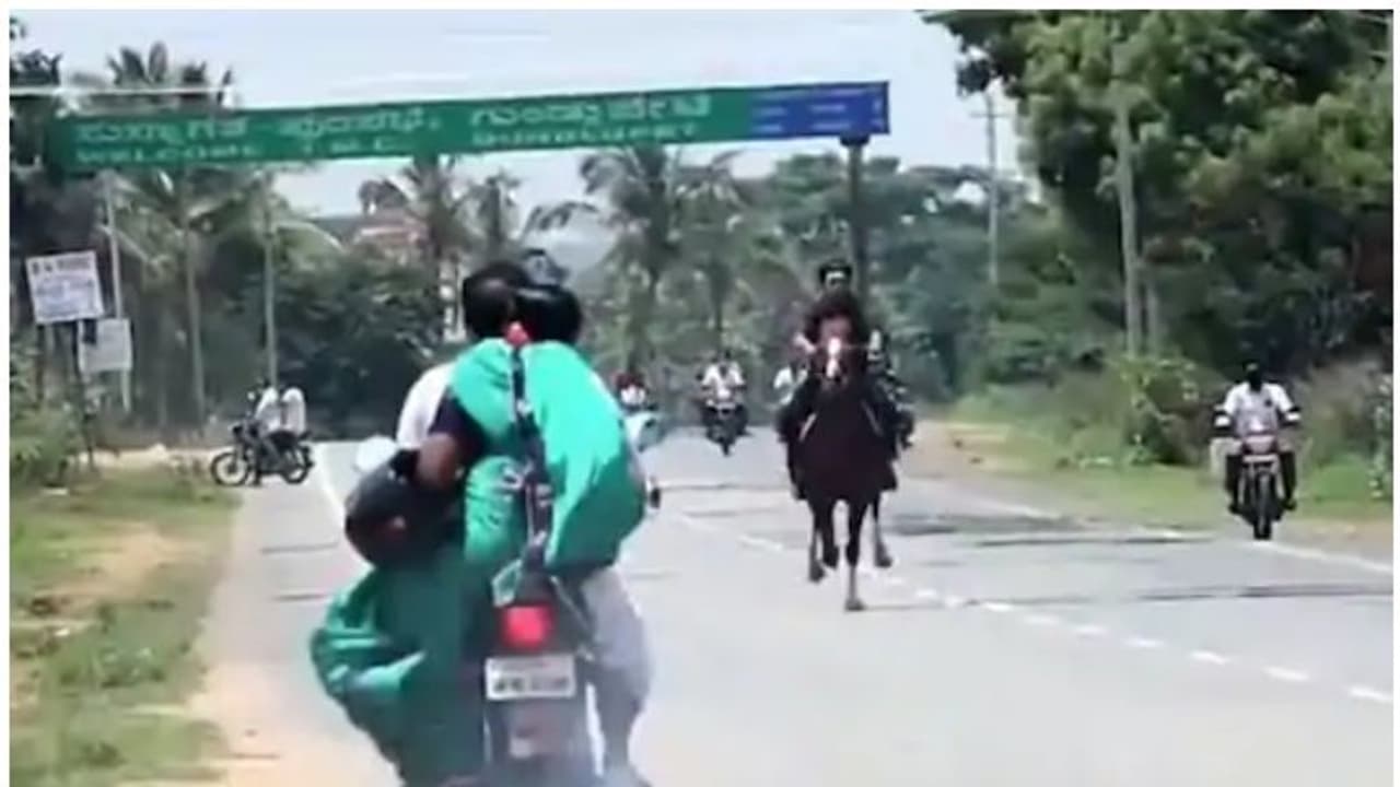 ലോക്ക്ഡൗണ്‍ ലംഘിച്ച് ബിജെപി എംഎല്‍എയുടെ മകന്റെ കുതിര സവാരി പ്രകടനം; വീഡിയോ വൈറല്‍