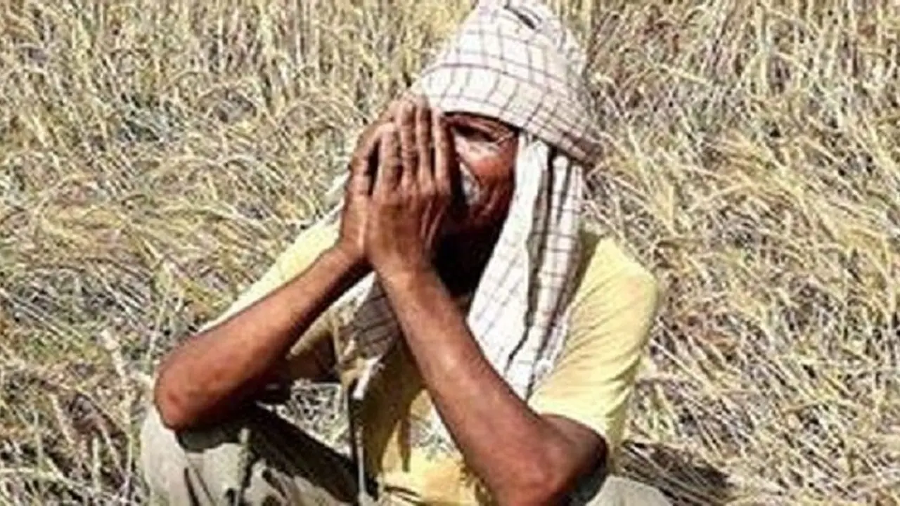 पंजाब में सड़कों में सब्जी फेंकने को मजबूर है अन्नदाता