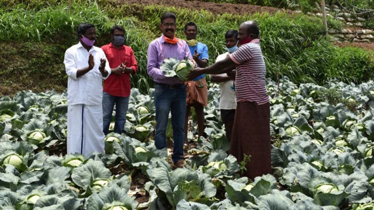 രണ്ട് ടണ്‍ പച്ചക്കറി മുഖ്യമന്ത്രിയുടെ ദുരിതാശ്വാസനിധിയിലേക്ക്; മാതൃകയായി ഇടുക്കിയിലെ കര്‍ഷകര്‍
