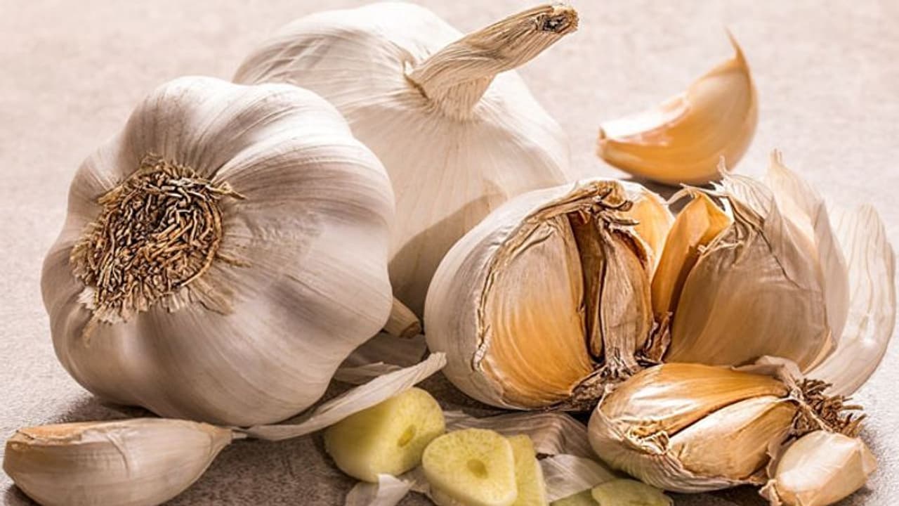 ആവശ്യത്തിനുള്ള വെളുത്തുള്ളി ഇനി വീട്ടിൽത്തന്നെ കൃഷി ചെയ്താലോ? ആവശ്യത്തിനുള്ള വെളുത്തുള്ളി ഇനി വീട്ടിൽത്തന്നെ കൃഷി ചെയ്താലോ?