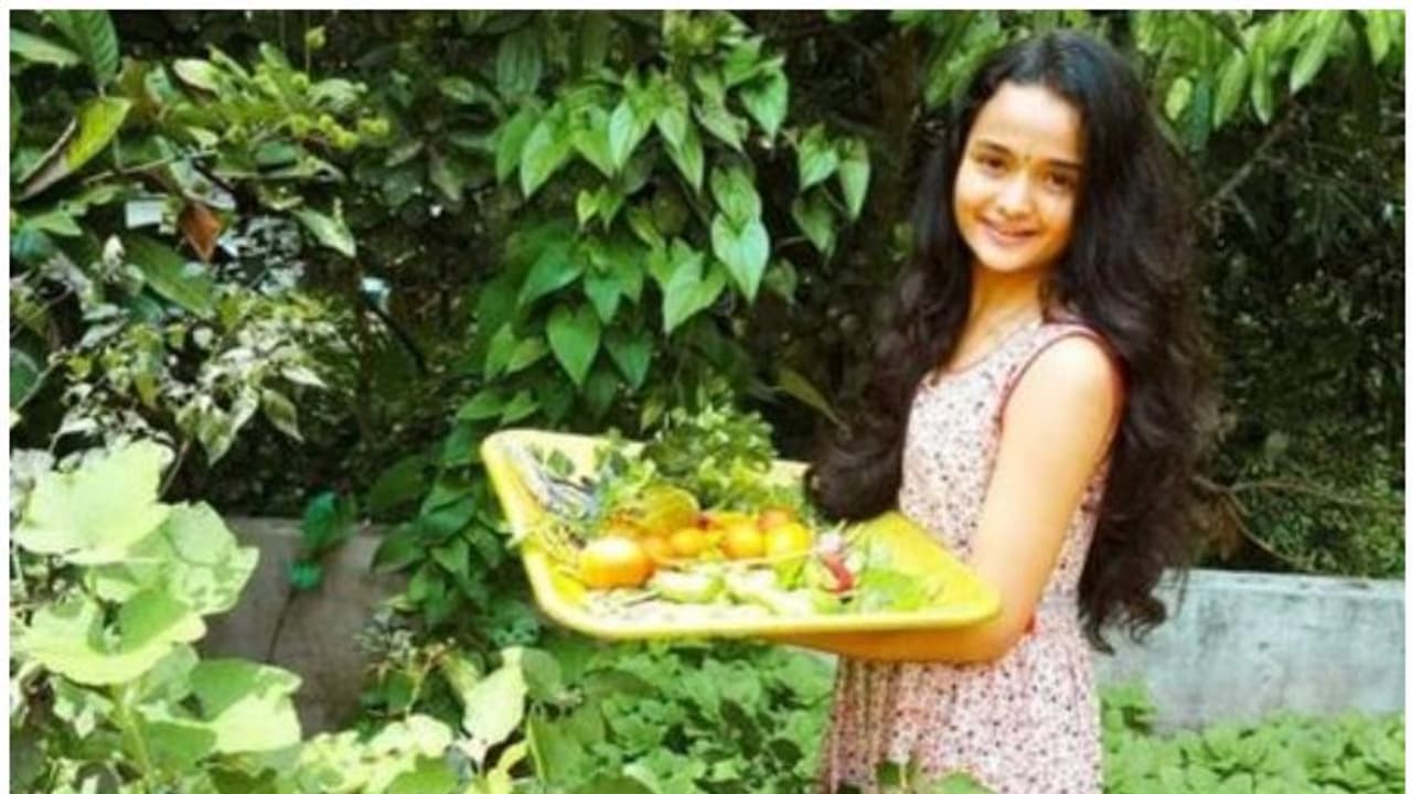 ഒരു ലോക്ക് ഡൗണ് വിളവെടുപ്പ്; കുഞ്ഞ് കൃഷിത്തോട്ടത്തില് നിന്ന് മീനാക്ഷി ഒരു ലോക്ക് ഡൗണ് വിളവെടുപ്പ്; കുഞ്ഞ് കൃഷിത്തോട്ടത്തില് നിന്ന് മീനാക്ഷി