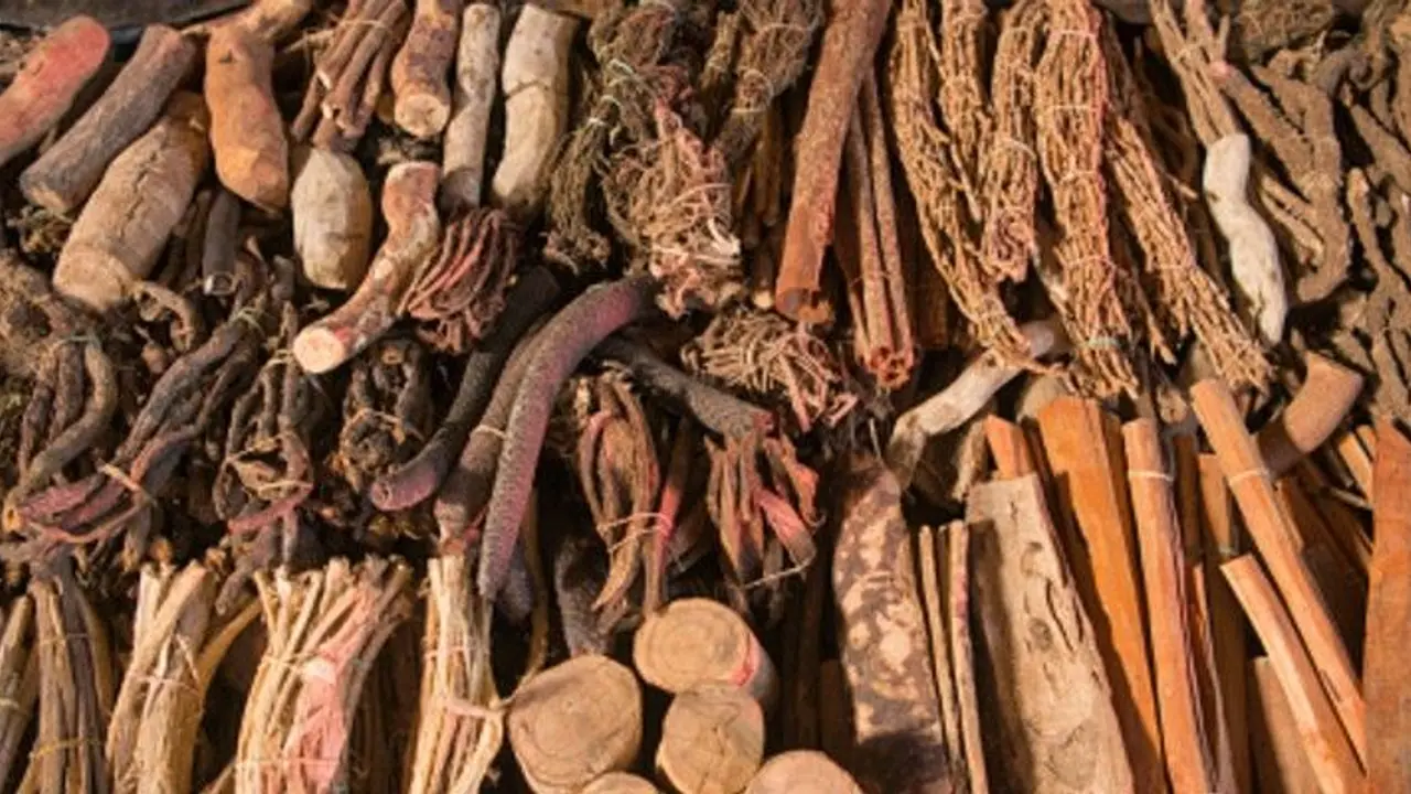 করোনা মোকাবিলায় তামিলনাড়ুর অস্ত্র 'প্রাচীন সিদ্ধা', কতটা উপকারী এই পদ্ধতি করোনা মোকাবিলায় তামিলনাড়ুর অস্ত্র 'প্রাচীন সিদ্ধা', কতটা উপকারী এই পদ্ধতি