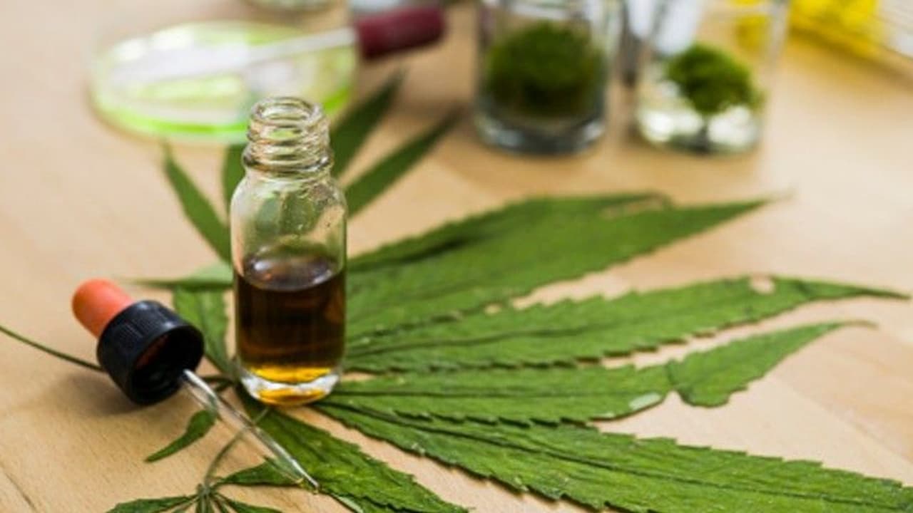 கொரோனாவை அடியோடு விரட்ட இந்தியாவுடன் கைகோர்க்கும் அமெரிக்கா... தயாராகிறது ஆயுர்வேத மருந்து..! கொரோனாவை அடியோடு விரட்ட இந்தியாவுடன் கைகோர்க்கும் அமெரிக்கா... தயாராகிறது ஆயுர்வேத மருந்து..!