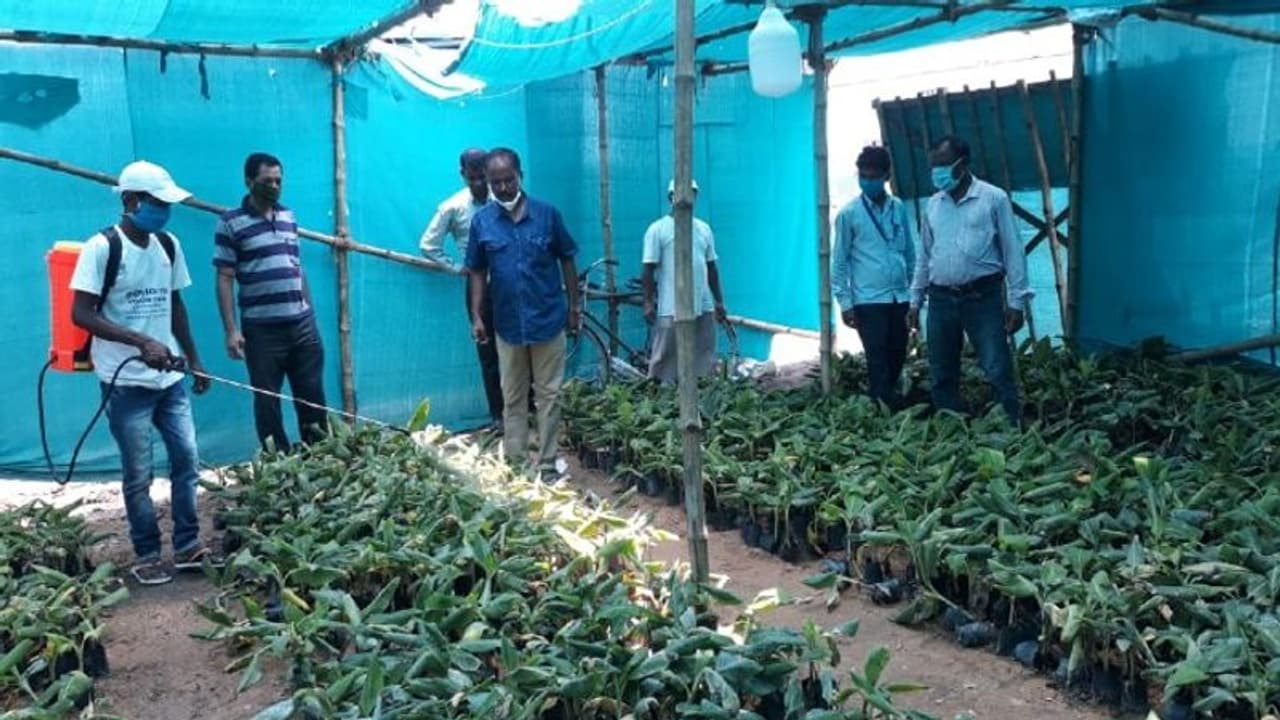 ঔরাঙ্গাবাদে রেল দুর্ঘটনা থেকে শিক্ষা, জাতীয় সড়কে পরিযায়ী শ্রমিকদের আটকাল পুলিশ ঔরাঙ্গাবাদে রেল দুর্ঘটনা থেকে শিক্ষা, জাতীয় সড়কে পরিযায়ী শ্রমিকদের আটকাল পুলিশ