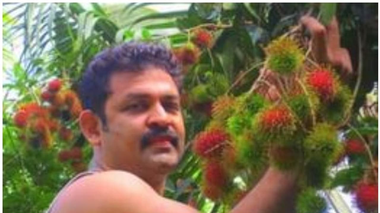 റമ്പൂട്ടാൻ കാലമാകുന്നു; ഓര്മ്മ പങ്കുവെച്ച് കൃഷ്ണകുമാര് റമ്പൂട്ടാൻ കാലമാകുന്നു; ഓര്മ്മ പങ്കുവെച്ച് കൃഷ്ണകുമാര്