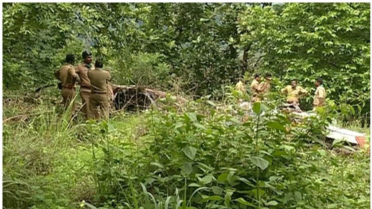 പത്തനംതിട്ട പേഴുംപാറയില്‍ വീണ്ടും കടുവയുടെ സാന്നിധ്യം; വിറക് ശേഖരിക്കാന്‍ പോയ വീട്ടമ്മ കണ്ടു