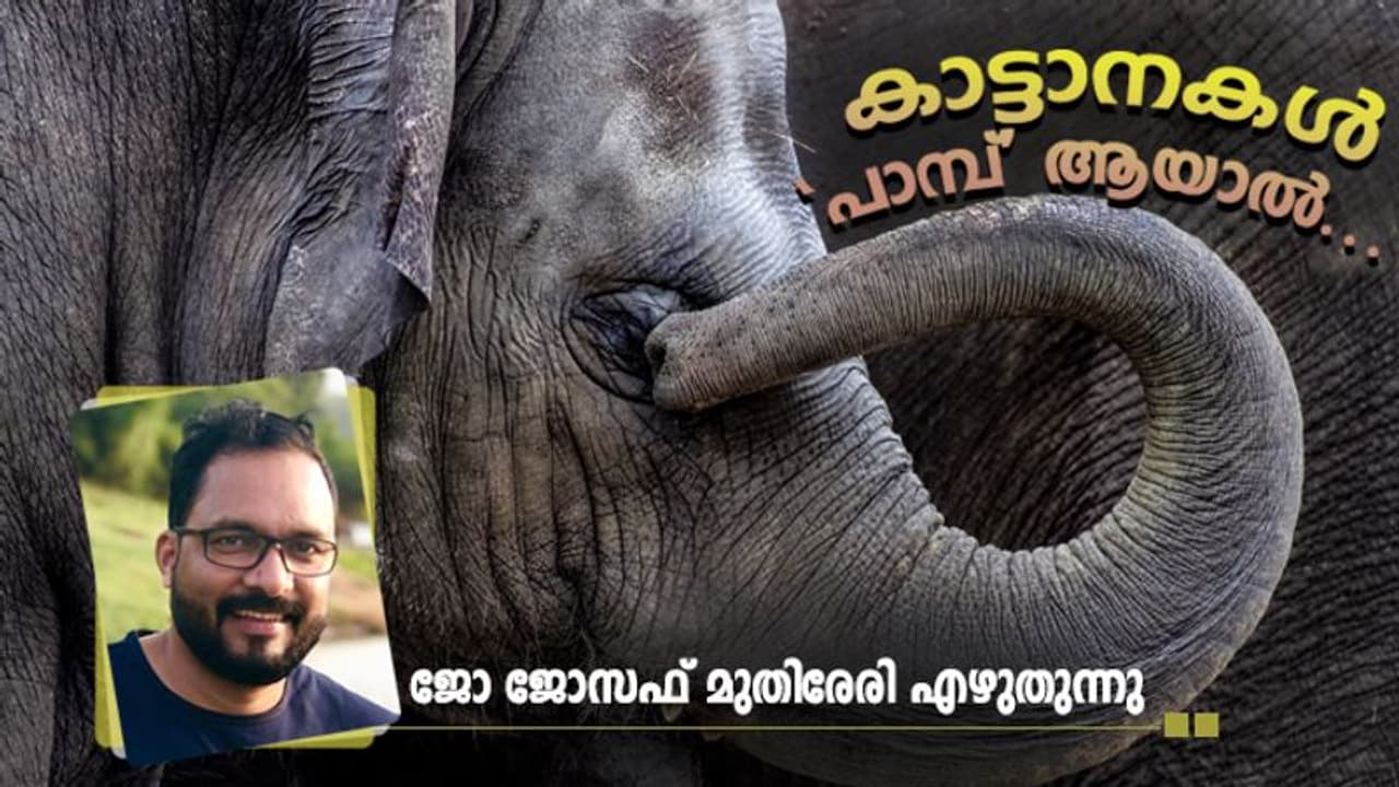 മൃഗങ്ങള് പൂസായാല് 'പാമ്പ്' ആവുമോ? മൃഗങ്ങള് പൂസായാല് 'പാമ്പ്' ആവുമോ?