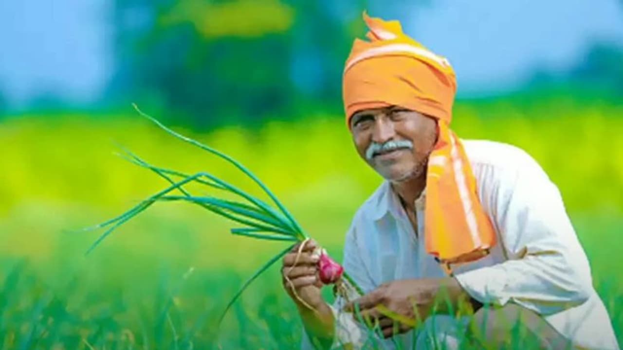 गंगा किनारे 800 हेक्टेयर में हर्बल प्रोडक्ट्स के लिए कॉरिडोर बनेगा, दो साल में काम होगा पूरा गंगा किनारे 800 हेक्टेयर में हर्बल प्रोडक्ट्स के लिए कॉरिडोर बनेगा, दो साल में काम होगा पूरा