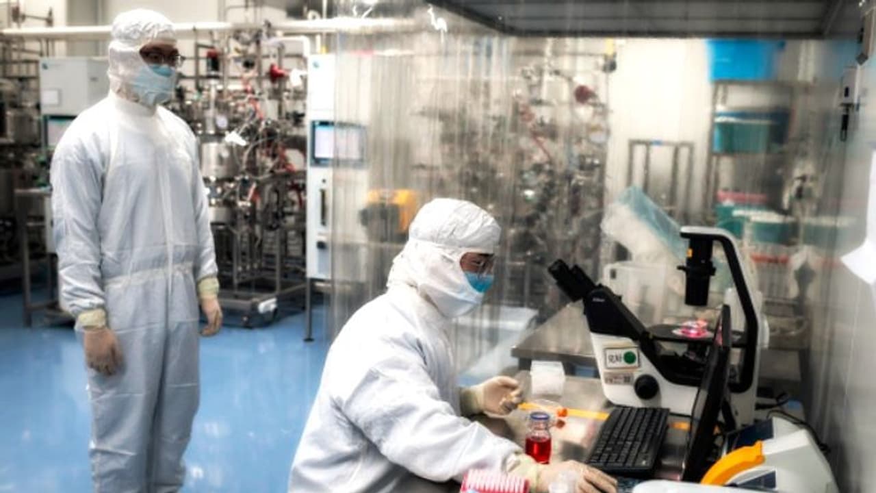 করোনায় টিকায় সুস্থ ছয় বানর, তবে কি সত্যিই পুজোর আগেই আসছে সুখবর করোনায় টিকায় সুস্থ ছয় বানর, তবে কি সত্যিই পুজোর আগেই আসছে সুখবর