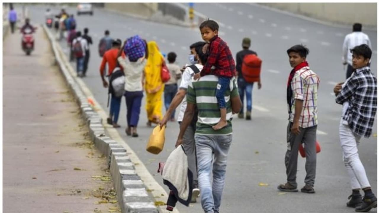 കുടിയേറ്റ തൊഴിലാളികളുടെ ദുരിതം വേദനാജനകം; മദ്രാസ് ഹൈക്കോടതി കേന്ദ്രത്തോട് റിപ്പോർട്ട് തേടി കുടിയേറ്റ തൊഴിലാളികളുടെ ദുരിതം വേദനാജനകം; മദ്രാസ് ഹൈക്കോടതി കേന്ദ്രത്തോട് റിപ്പോർട്ട് തേടി