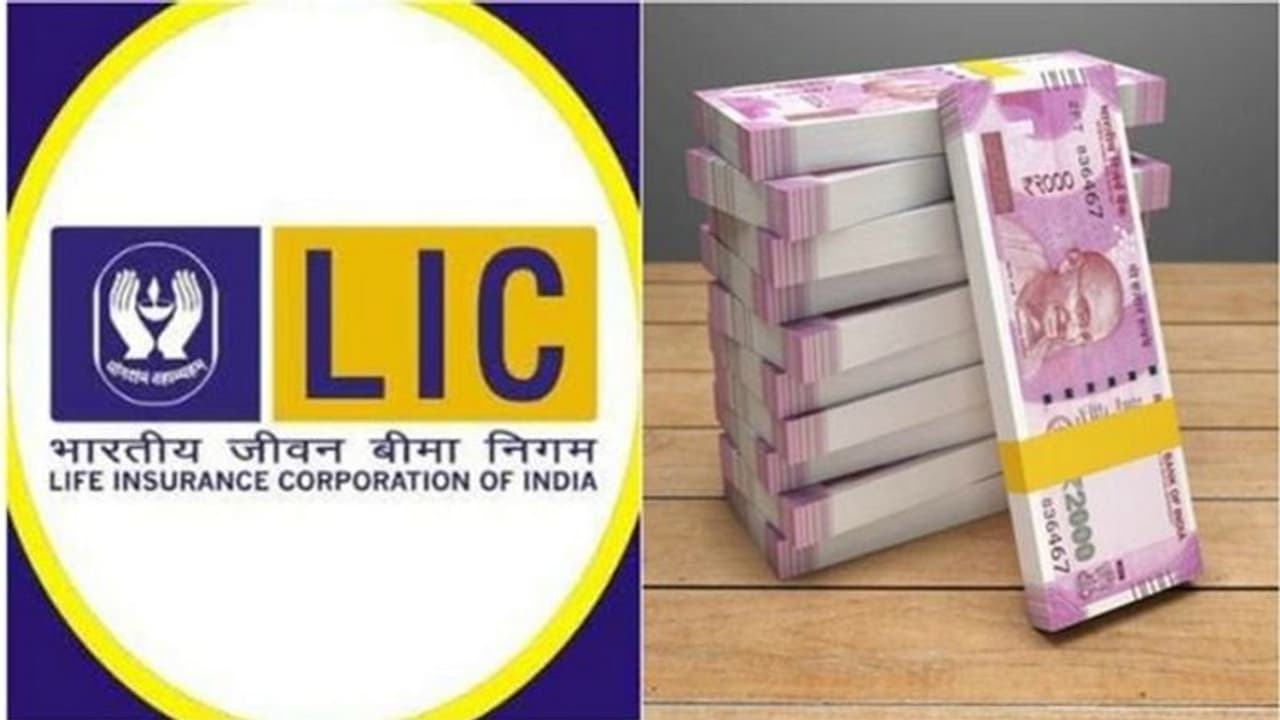 എൽഐസി പോളിസി; പ്രീമിയം അടയ്ക്കാൻ മറന്നോ? കാലഹരണപ്പെട്ട പോളിസി വീണ്ടെടുക്കാം