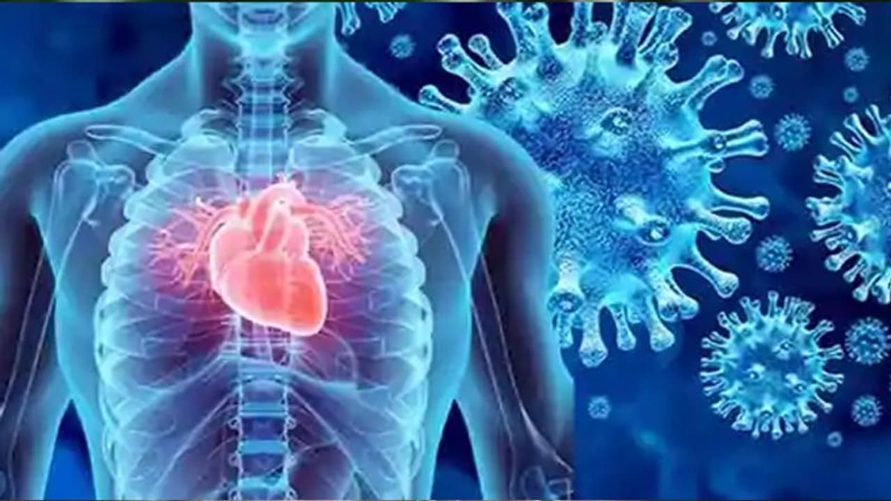 Coronavirus: India's count surges past 1.3 lakh, records highest daily spike Coronavirus: India's count surges past 1.3 lakh, records highest daily spike