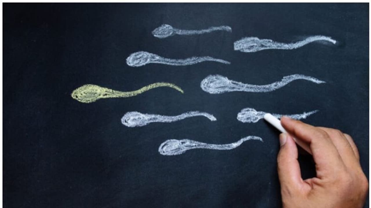 ചലനശേഷി കൂടുതലുള്ള ബീജങ്ങളെ വേർതിരിച്ചറിയാനുള്ള 'ത്രീഡി' സാങ്കേതികവിദ്യ വികസിപ്പിച്ചെടുത്ത് ഇസ്രായേൽ ഗവേഷകർ