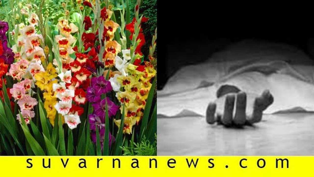 ಗ್ಲಾಡಿಯೋಸ್ ಹೂ ಮಾರಾಟವಾಗದ್ದಕ್ಕೆ ಮನನೊಂದು ರೈತ ಆತ್ಮಹತ್ಯೆ ಗ್ಲಾಡಿಯೋಸ್ ಹೂ ಮಾರಾಟವಾಗದ್ದಕ್ಕೆ ಮನನೊಂದು ರೈತ ಆತ್ಮಹತ್ಯೆ