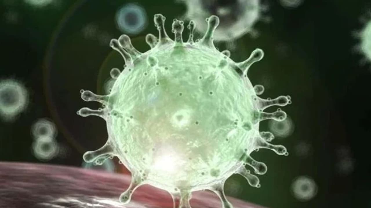 തമിഴ്നാട്ടില് രോഗബാധിതര് 11,000 കടന്നു, ട്രെയിനിൽ എത്തിയ 2 പേർക്ക് കൊവിഡ് തമിഴ്നാട്ടില് രോഗബാധിതര് 11,000 കടന്നു, ട്രെയിനിൽ എത്തിയ 2 പേർക്ക് കൊവിഡ്