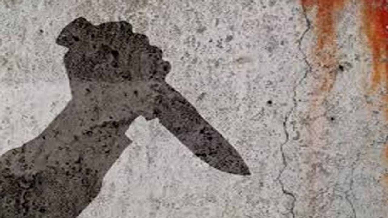 പത്തനംതിട്ടയിൽ നഴ്സിംഗ് വിദ്യാർത്ഥിനിയെ അയൽവാസി കുത്തിപ്പരിക്കേൽപ്പിച്ചു പത്തനംതിട്ടയിൽ നഴ്സിംഗ് വിദ്യാർത്ഥിനിയെ അയൽവാസി കുത്തിപ്പരിക്കേൽപ്പിച്ചു