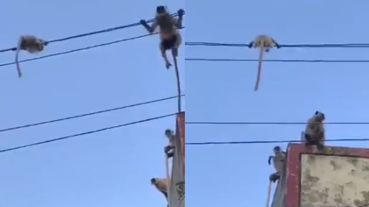 সন্তানকে বাঁচানোর তাগিদ, মায়ের মমতায় ভাসলো সোশ্যাল মিডিয়া সন্তানকে বাঁচানোর তাগিদ, মায়ের মমতায় ভাসলো সোশ্যাল মিডিয়া