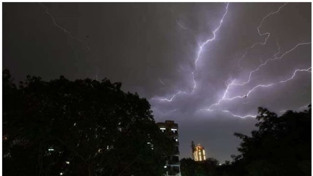 മഴ അടുത്ത അഞ്ച് ദിവസം തുടരും, നാല് ദിവസങ്ങളിലായി 5 ജില്ലകളിൽ യെല്ലോ അലർട്ട് മഴ അടുത്ത അഞ്ച് ദിവസം തുടരും, നാല് ദിവസങ്ങളിലായി 5 ജില്ലകളിൽ യെല്ലോ അലർട്ട്