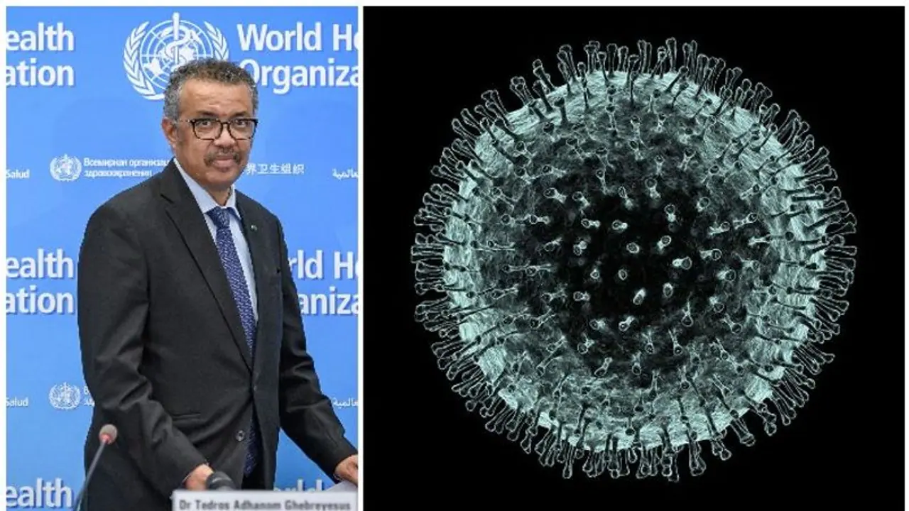 'കൊവിഡിന്‍റെ ഉറവിടം ഏത്?', ലോകാരോഗ്യ സംഘടനയോട് ഇന്ത്യയടക്കം 61 രാജ്യങ്ങളുടെ ചോദ്യം